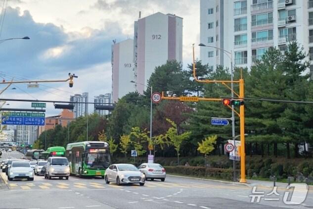 본문 이미지 -  (서울 강동구 제공) 
