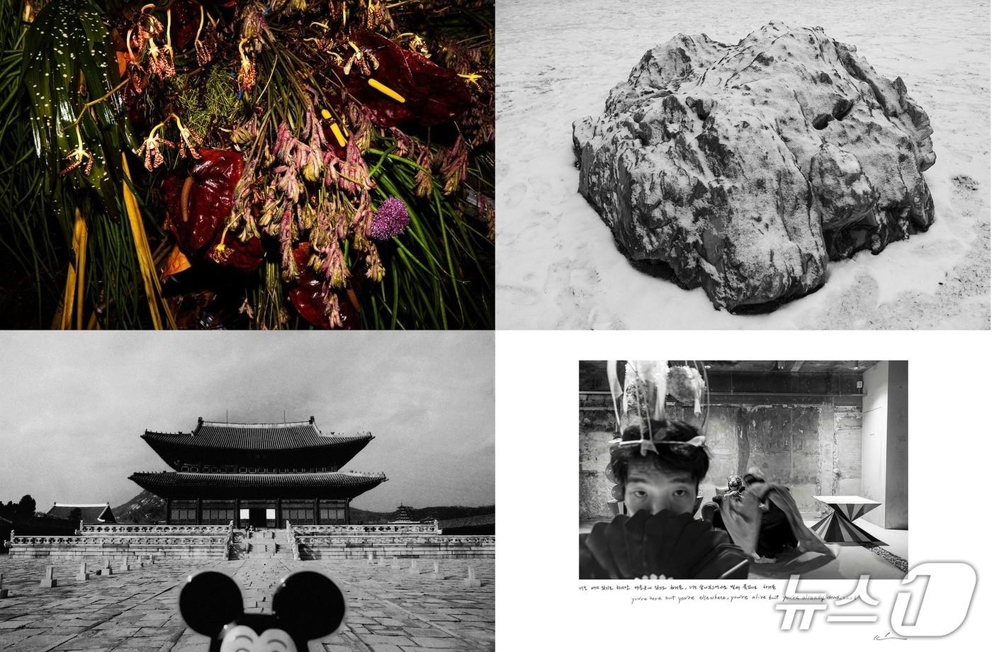 김용호 작가 난폭한 아름다움 전시 작품(캐논코리아 제공)