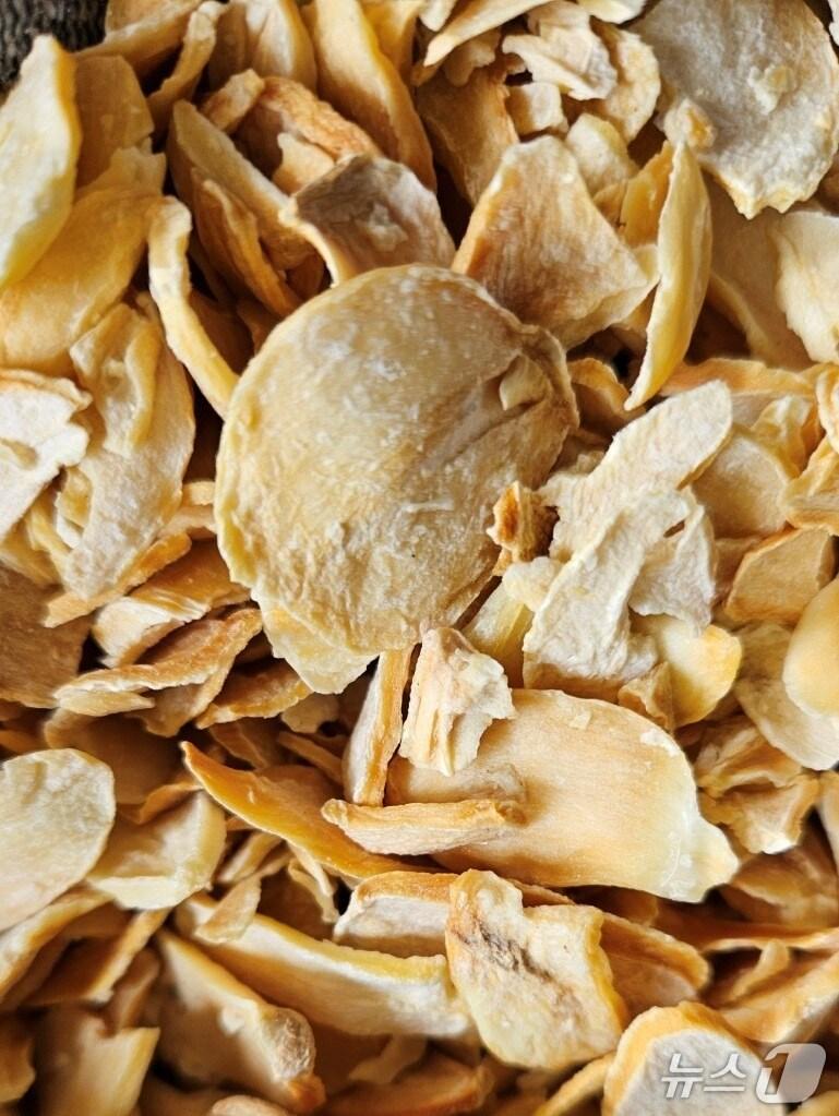 본문 이미지 - 건조마늘&#40;관세청 인천본부세관 제공/뉴스1&#41;