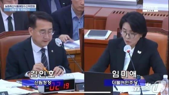 본문 이미지 -  국정감사에서 충주 활옥동굴 불법 운영을 지적하고 있는 임미애 의원.&#40;자료사진&#41;/뉴스1