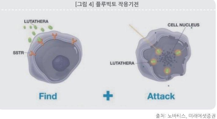 본문 이미지 - 노바티스 방사성의약품 플루빅토의 작용기전. &#40;한국바이오협회 제공&#41;