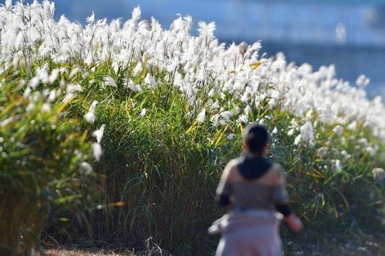 본문 이미지 - 자료사진/뉴스1