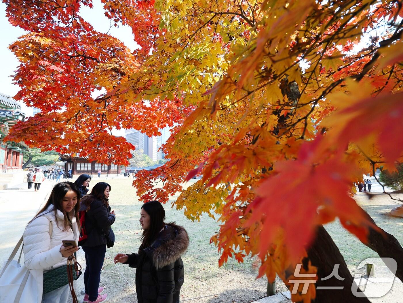 본문 이미지 - 완연한 가을 날씨를 보인 지난 4일 오후 서울 중구 덕수궁에서 외국인 관광객과 시민들이 단풍과 함께 즐거운 시간을 보내고 있다. 2025.11.4/뉴스1 ⓒ News1 황기선 기자