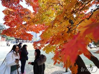 본문 이미지 - 완연한 가을 날씨를 보인 4일 오후 서울 중구 덕수궁에서 외국인 관광객과 시민들이 단풍과 함께 즐거운 시간을 보내고 있다. 2025.11.4/뉴스1 ⓒ News1 황기선 기자