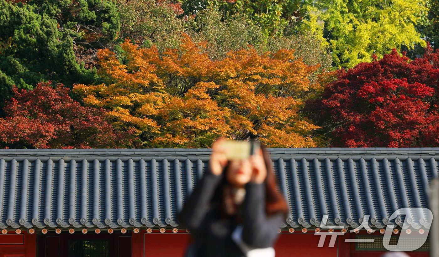 완연한 가을 날씨를 보인 4일 오후 서울 중구 덕수궁에서 시민이 단풍과 함께 즐거운 시간을 보내고 있다. 2025.11.4/뉴스1 ⓒ News1 황기선 기자