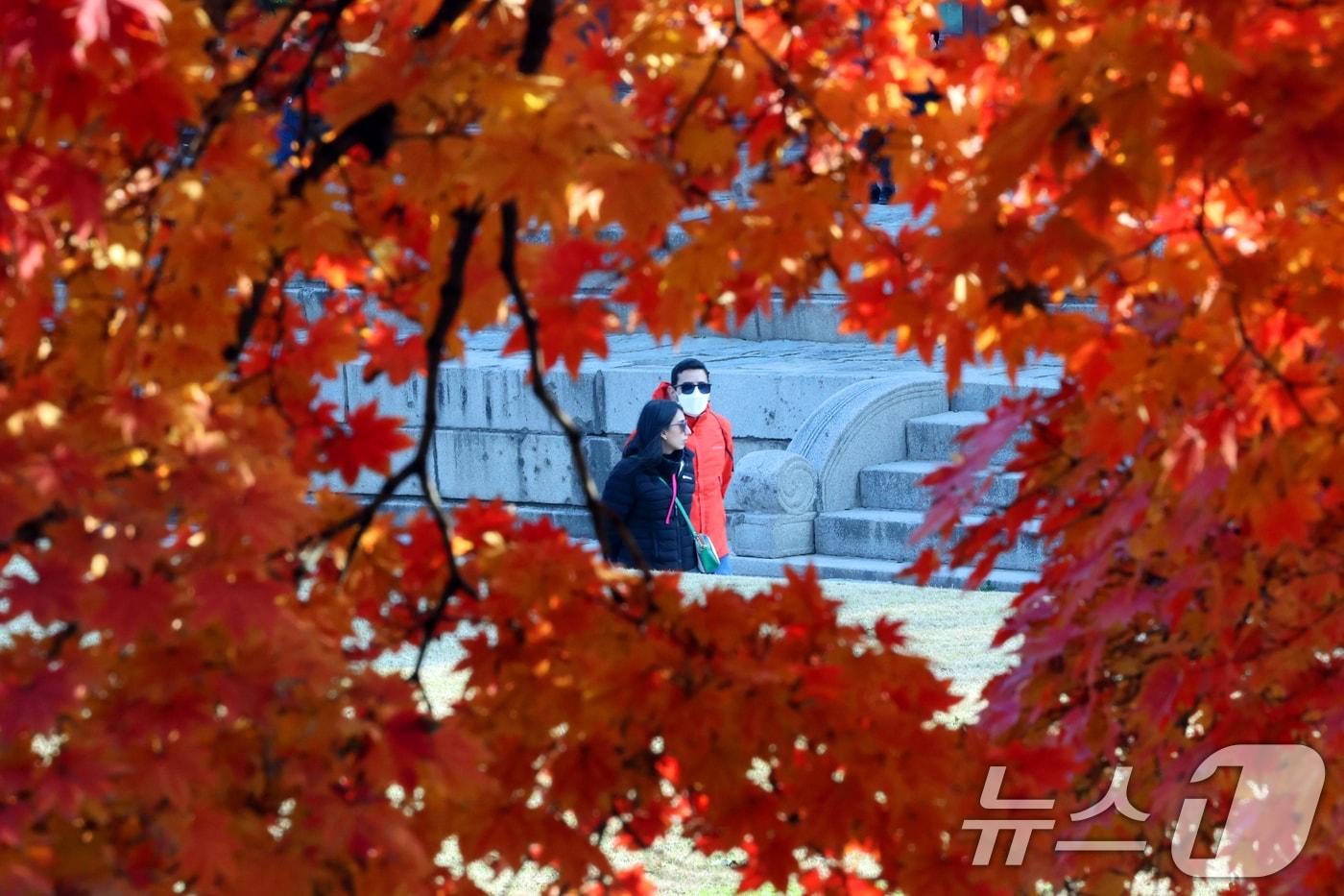 완연한 가을 날씨를 보인 4일 오후 서울 중구 덕수궁에서 외국인 관광객이 단풍과 함께 즐거운 시간을 보내고 있다. 2025.11.4/뉴스1 ⓒ News1 황기선 기자