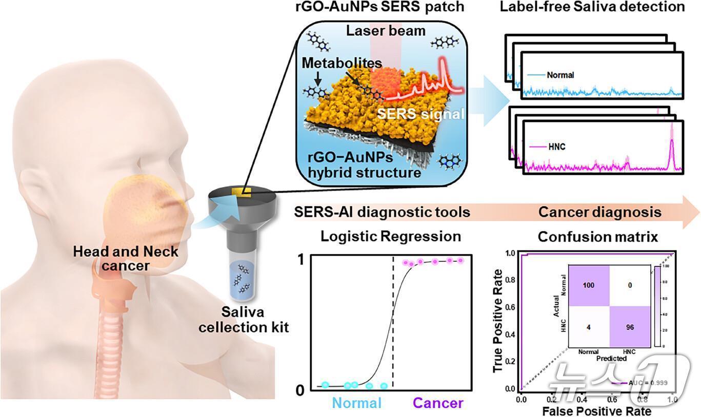 본문 이미지 - 비침습적 두경부암 진단 플랫폼 개요도&#40;가톨릭대 서울성모병원 제공&#41;