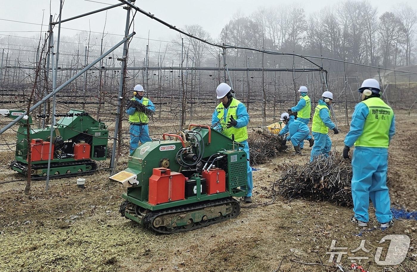 충북 괴산군은 농업인의 영농부산물 처리 부담을 줄이기 위해 12월 초까지 &#39;영농부산물 파쇄지원단&#39;을 무료로 운영한다.&#40;괴산군 제공, 재판매 및 DB금지&#41;/뉴스1