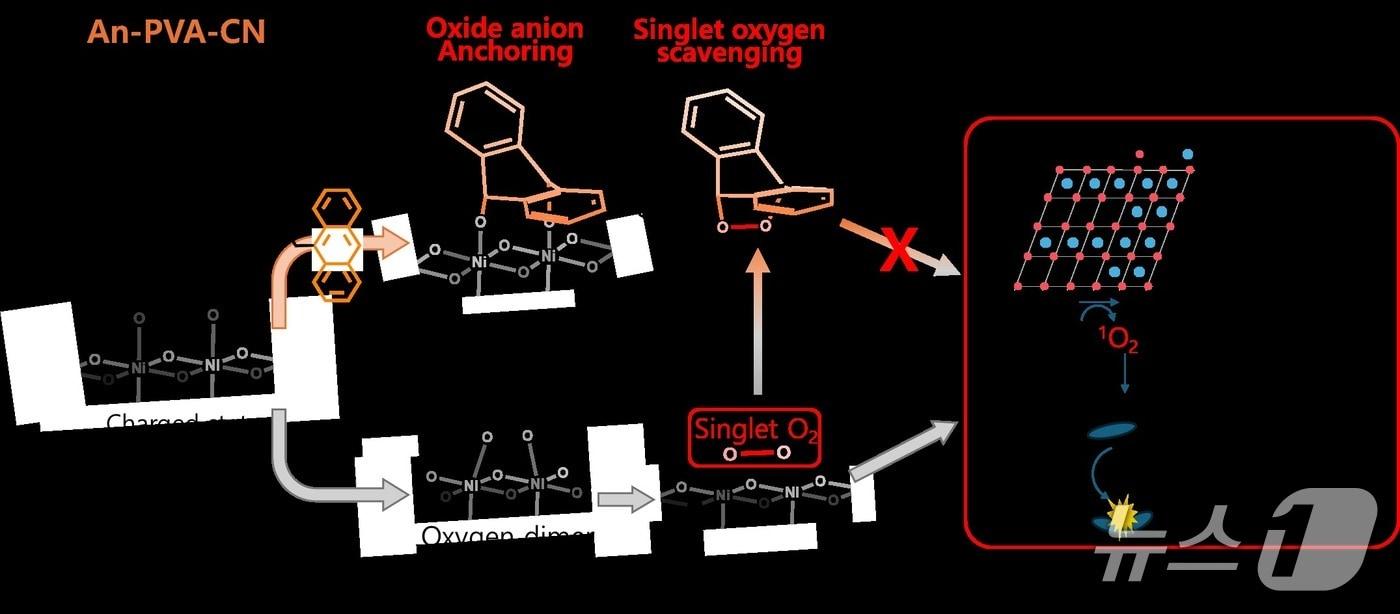 안트라센 기반 젤 전해질의 작용 원리 그림.&#40;UNIST 제공. 재판매 및 DB금지&#41;/뉴스1
