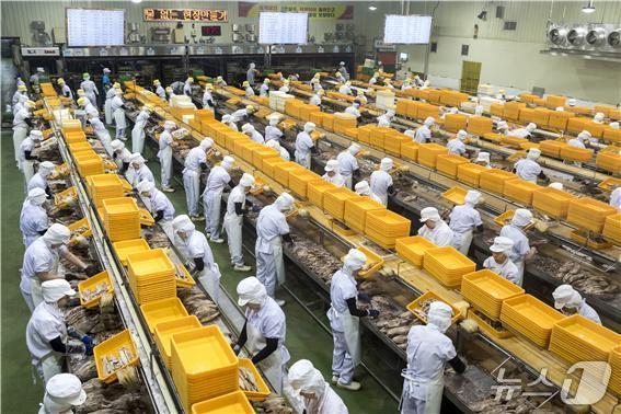 본문 이미지 - 참치통조림이 생산되는 모습 &#40;수과원 제공. 재판매 및 DB 금지&#41;