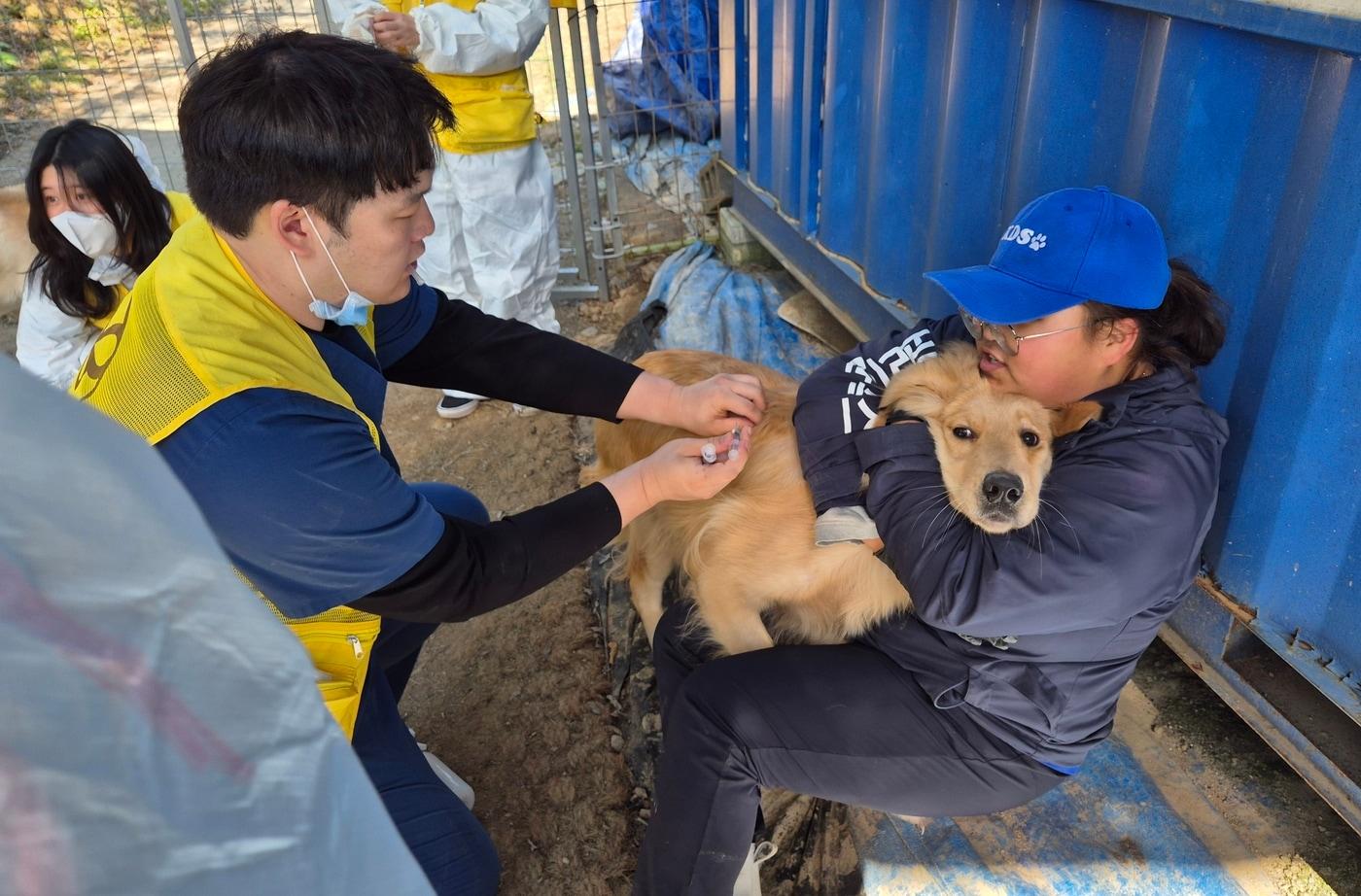 본동물의료센터 의료진이 용인 코리안독스 레인보우쉼터에서 의료봉사를 하는 모습&#40;병원 제공&#41; ⓒ 뉴스1