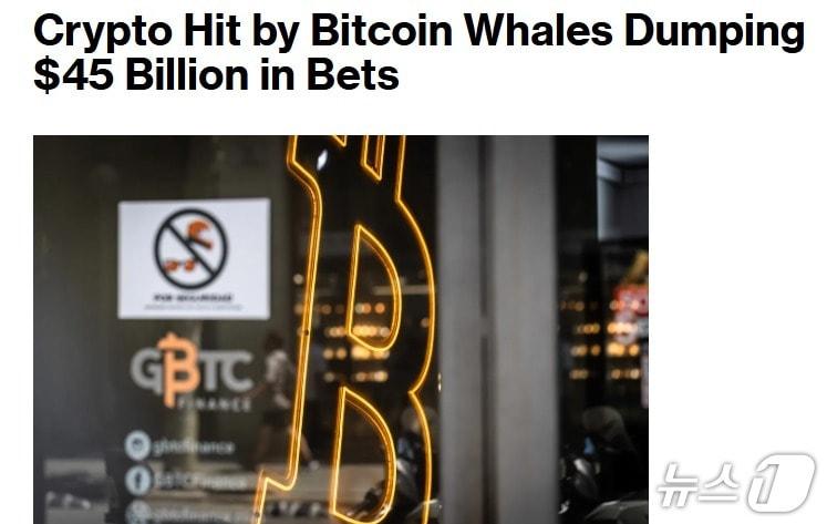 본문 이미지 - 해당 기사 - 블룸버그 갈무리