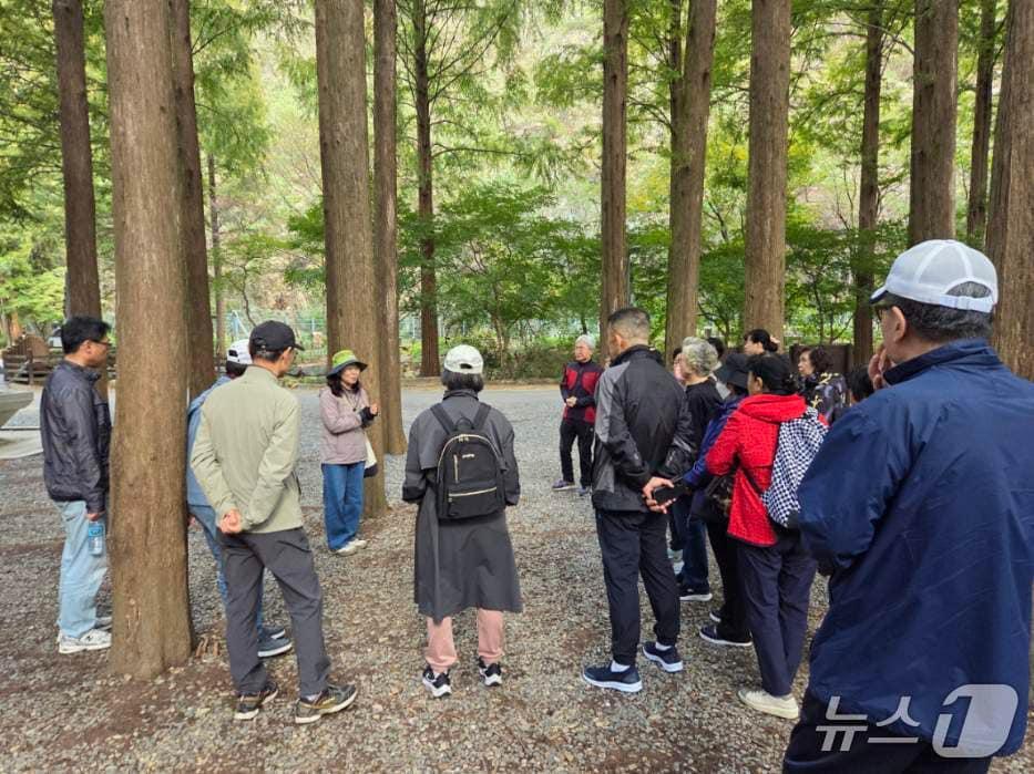 본문 이미지 - 힐링 프로그램 ‘마음, 함께 숲을 걷다’ 활동 모습.&#40;대전시 제공. 재판매 및 DB금지&#41;/뉴스1