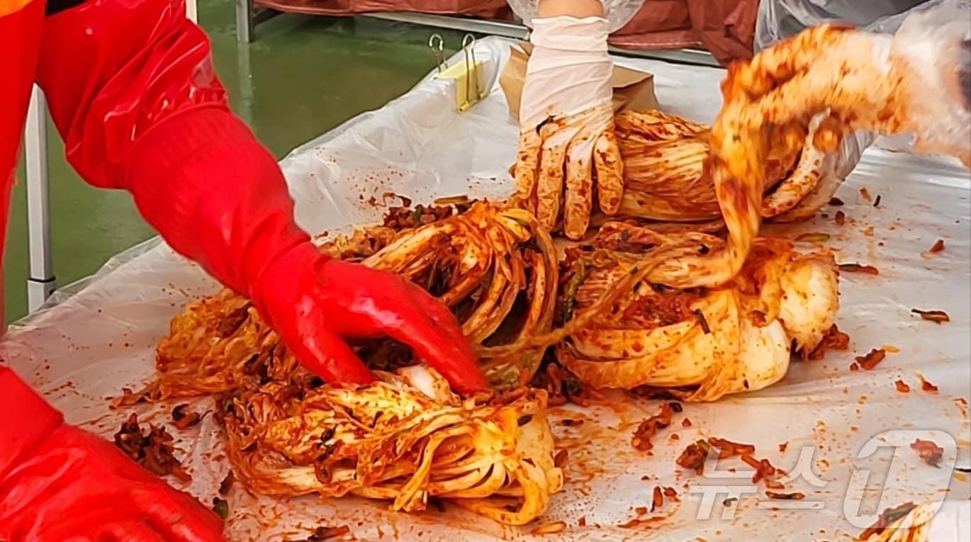 본문 이미지 - &#39;2025년 평창고랭지김장축제&#39;가 5일 강원 평창군 진부면민체육공원 다목적센터에서 성황리에 개막한 가운데 이날 행사장에서 축제 참가자들이 김장에 나서고 있다. 오는 17일까지 열리는 이 축제는 서해안에서 생산된 소금과 평창의 고랭지 배추, 강원의 양념비법으로 직접 김치를 만들 수 있는 행사로서, 올해로 8회째를 맞았다. 2025.11.5./뉴스1 ⓒ News1 신관호 기자