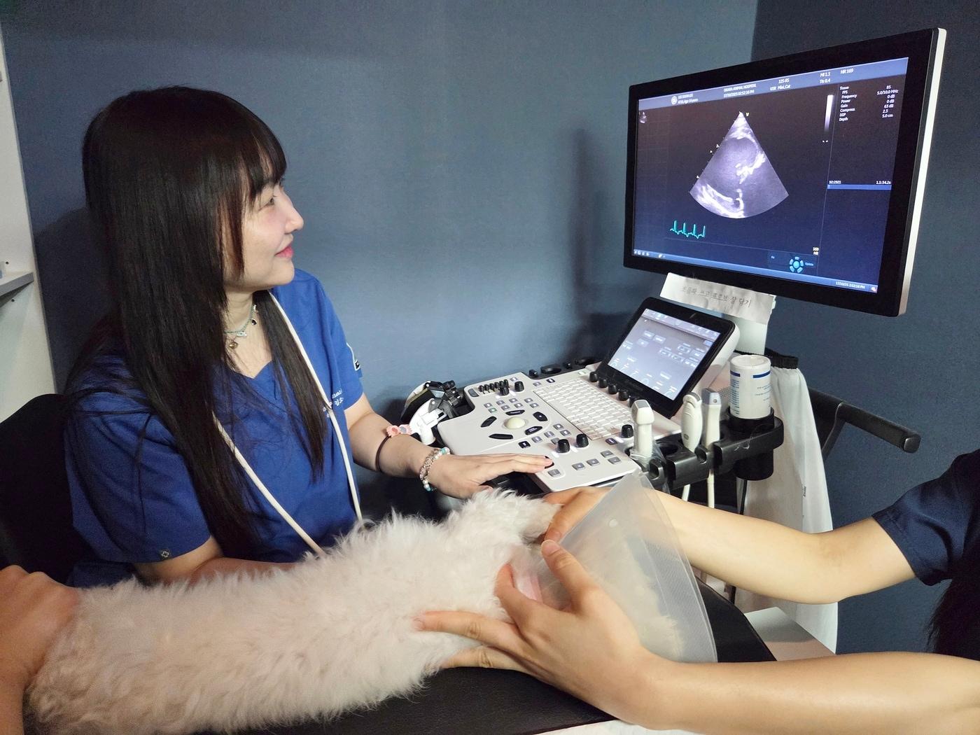 본문 이미지 - 김소은 옥길아라동물의료센터 대표원장이 초음파 검사를 하고 있다. ⓒ 뉴스1 한송아 기자