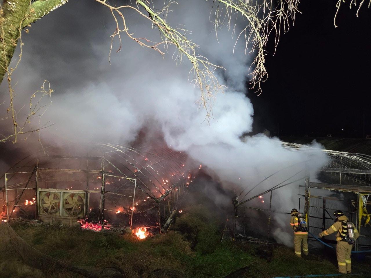 본문 이미지 - 세종 양계장 화재 진압. (세종소방본부 제공. 재판매 및 DB 금지)