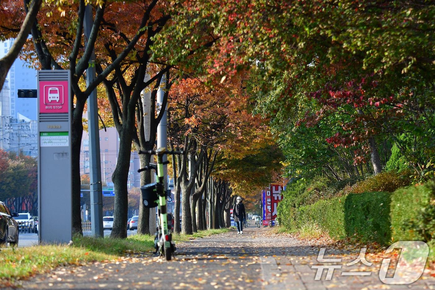 6일 오전 경북 포항시 남구 대잠동에서 출근길에 나선 한 시민이 낙엽을 밟으며 걸어가고 있다. 2025.11.6/뉴스1 ⓒ News1 최창호 기자