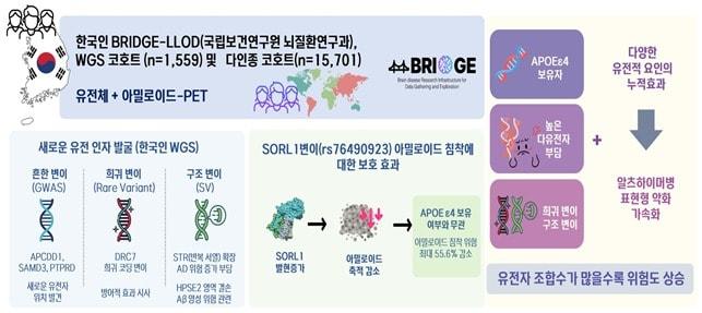 본문 이미지 - &#40;질병청 제공&#41;
