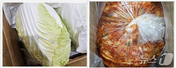 본문 이미지 - 관세청은 김장철을 맞아 13일부터 12월 5일까지 3주간 수입 김치 등에 대한 원산지표시 위반행위를 집중 단속한다.  