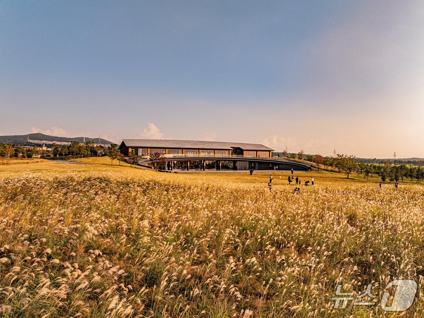 본문 이미지 - 제주대동 그레이트 필드 전경(대동 제공)