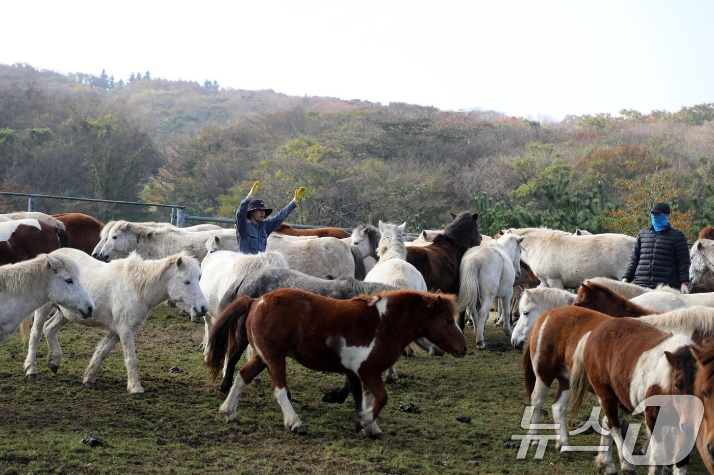 본문 이미지 - 자료사진.ⓒ 뉴스1 고동명 기자