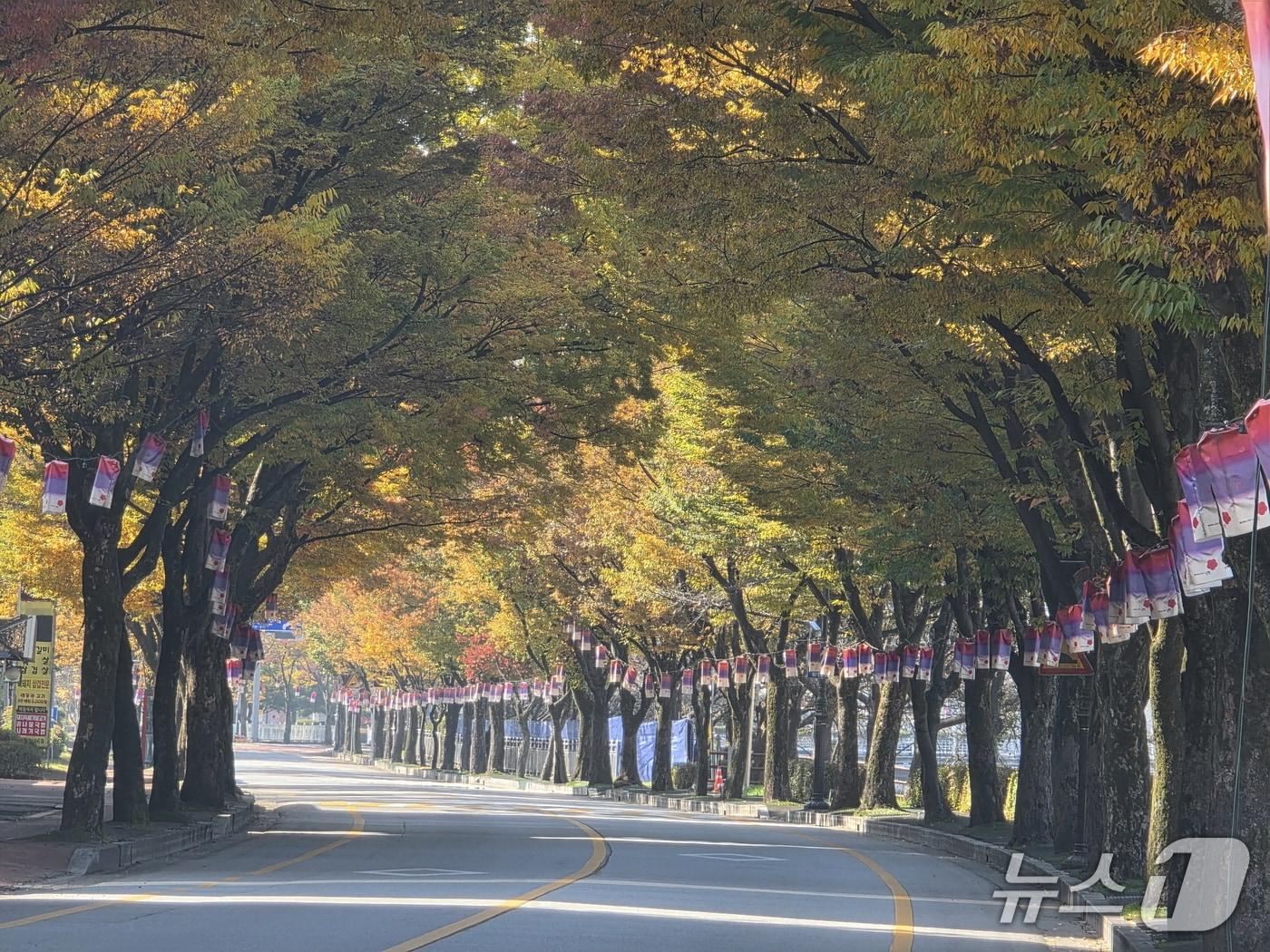 본문 이미지 - 전북 남원시가 오는 2029년까지 &#39;도시 바람길숲 조성사업&#39;을 추진한다.&#40;남원시 제공. 재판매 및 DB금지&#41;/뉴스1  