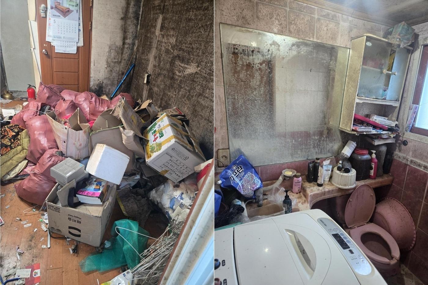 (보배드림 갈무리)