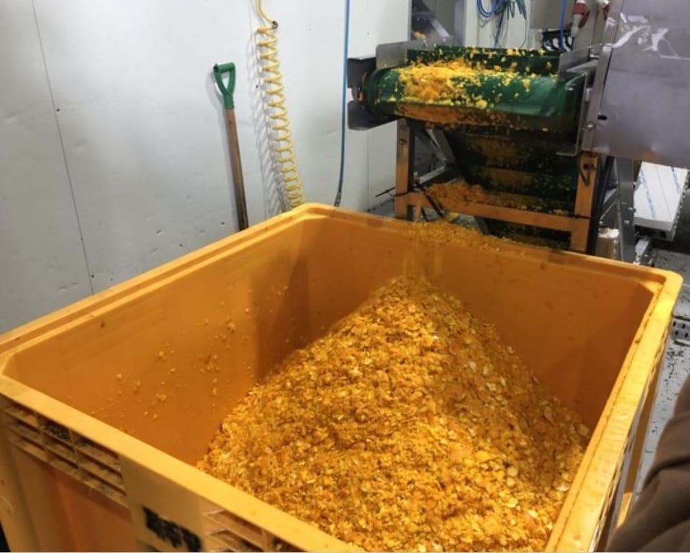 본문 이미지 - 감귤박 &#40;농촌진흥청 제공&#41; 2025.11.6 /뉴스1