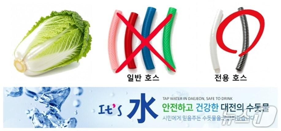 본문 이미지 - 대전상수도본부는 김장철에 고무호스 사용을 자제할 것을 당부했다. (대전상수도본부 제공) / 뉴스1