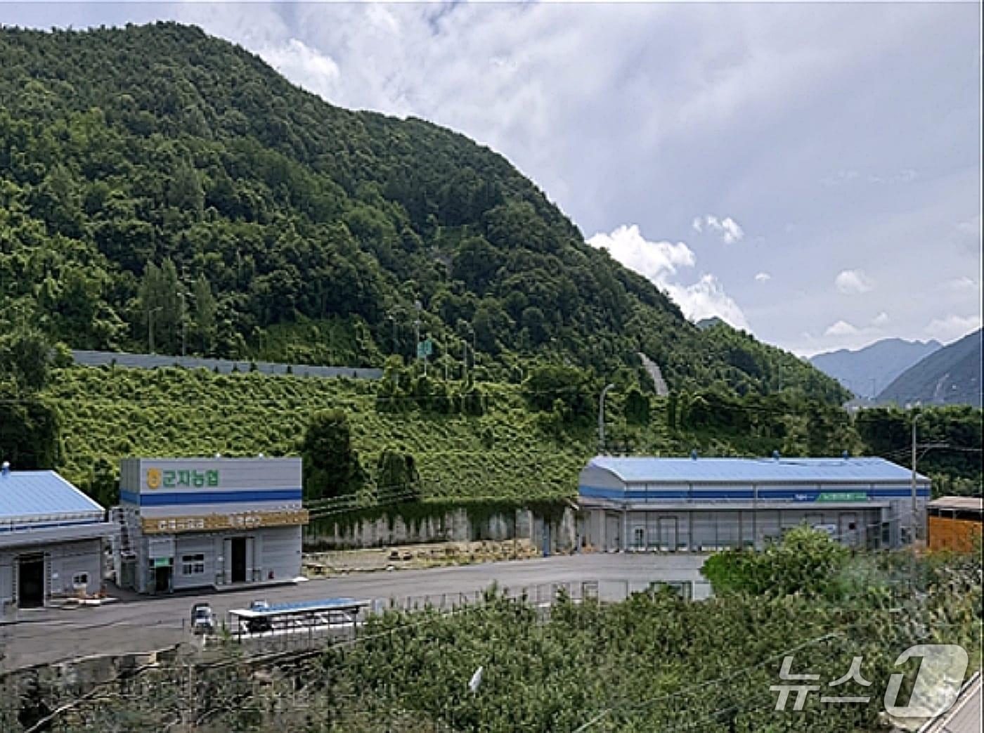 본문 이미지 - 충북 괴산 군자농협 농산물 유통센터 모습.&#40;괴산군 제공, 재판매 및 DB금지&#41;/뉴스1