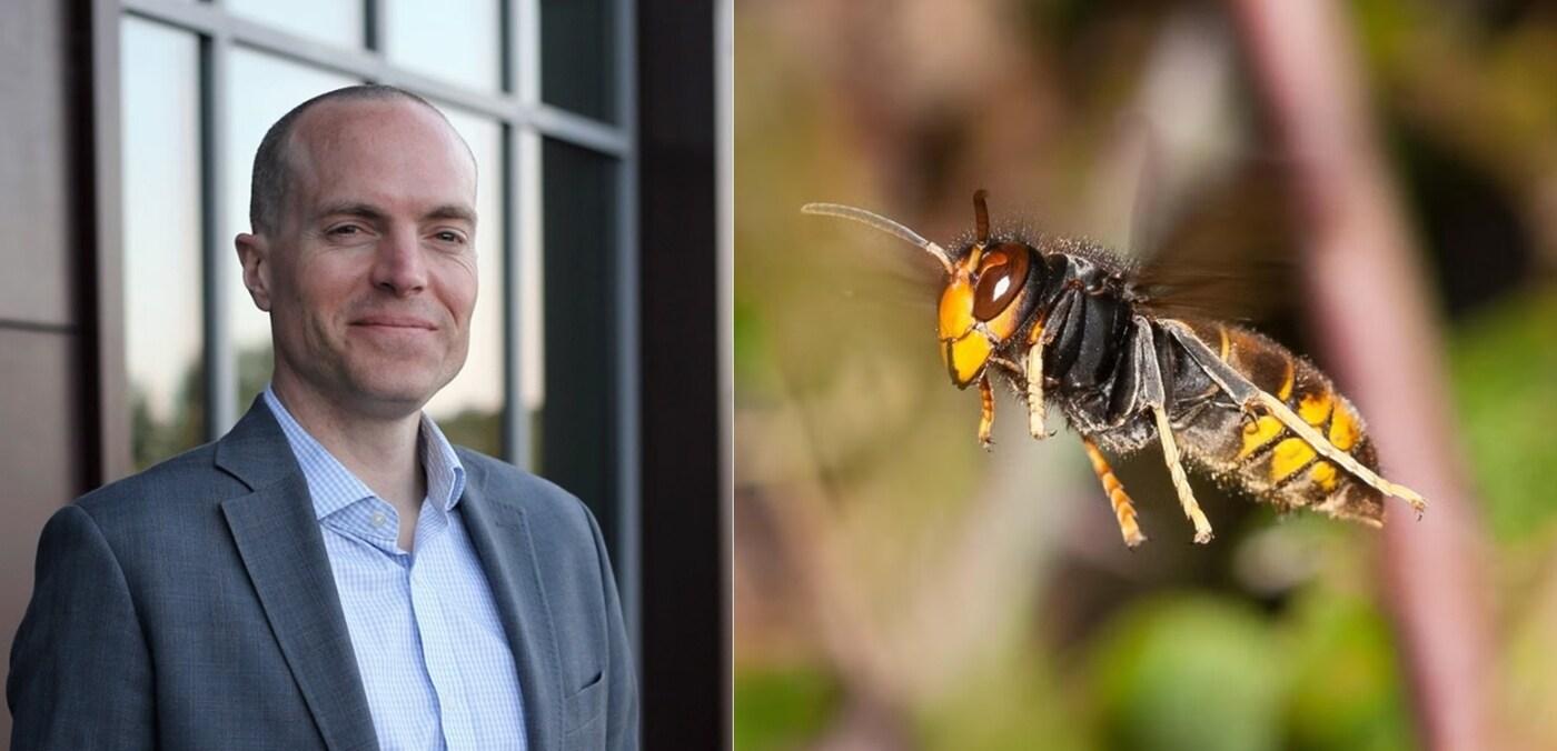 살인말벌에 희생된 다니엘 오웬&#40;47&#41;. 출처=인디펜던트.