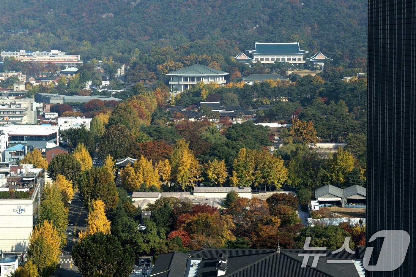 입동인 7일 서울 외교부 청사에서 바라본 청와대 일대 단풍이 절정을 이루고 있다. 용산 대통령실의 청와대 이전이 임박한 것으로 보도되고 있다. &#40;공동취재&#41; 2025.11.7/뉴스1 ⓒ News1 임세영 기자
