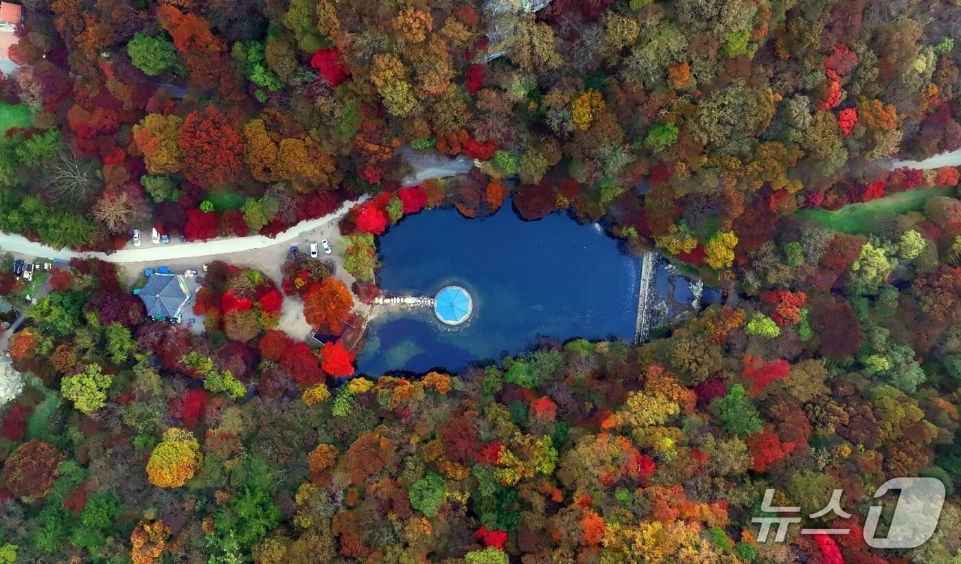 하늘에서 바라본 전북 정읍 내장산. 가을 단풍으로 붉게 물들고 있다.&#40;정읍시 제공. 재판매 및 DB금지&#41;/뉴스1 