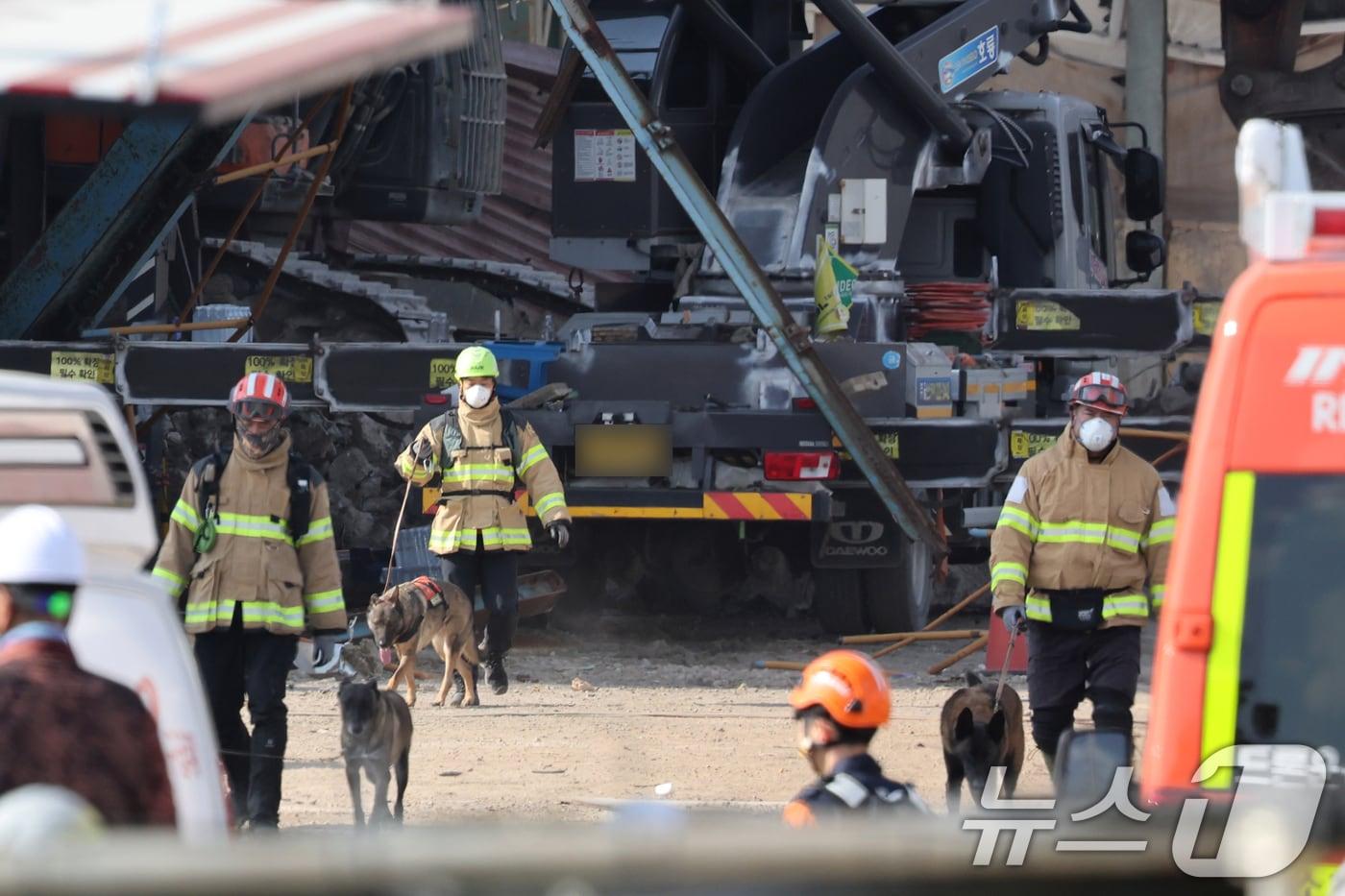 7일 오후 울산 남구 동서발전 울산화력발전소 보일러 타워 붕괴현장에서 소방대원이 구조견과 함께 매몰자 수색 및 구조작업을 벌이고 있다. 2025.11.7/뉴스1 ⓒ News1 황기선 기자