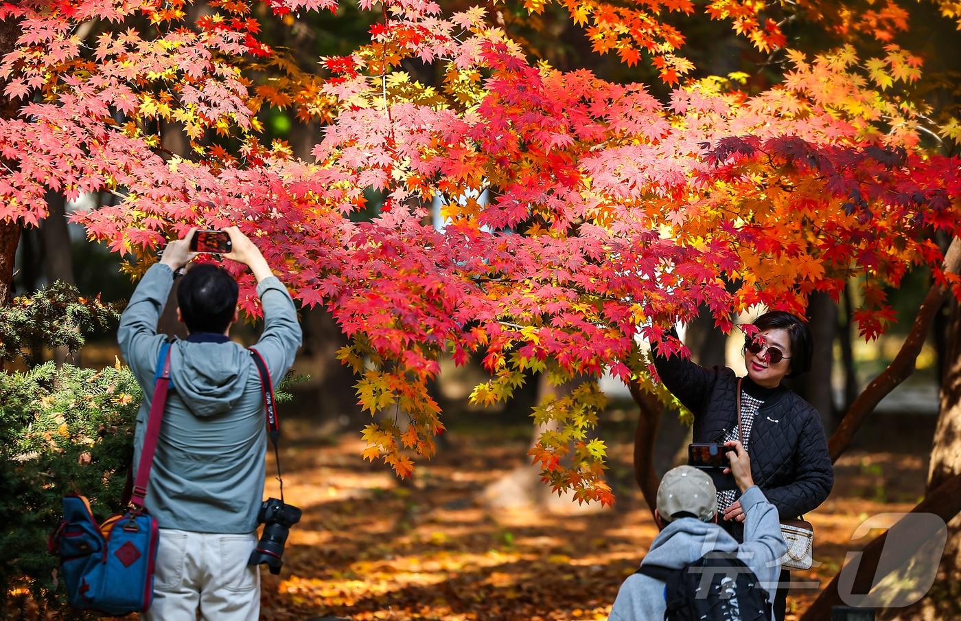 절기상 입동&#40;立冬&#41;인 7일 서울 종묘를 찾은 시민들이 단풍과 함께 추억을 만들고 있다. 2025.11.7/뉴스1 ⓒ News1 김진환 기자