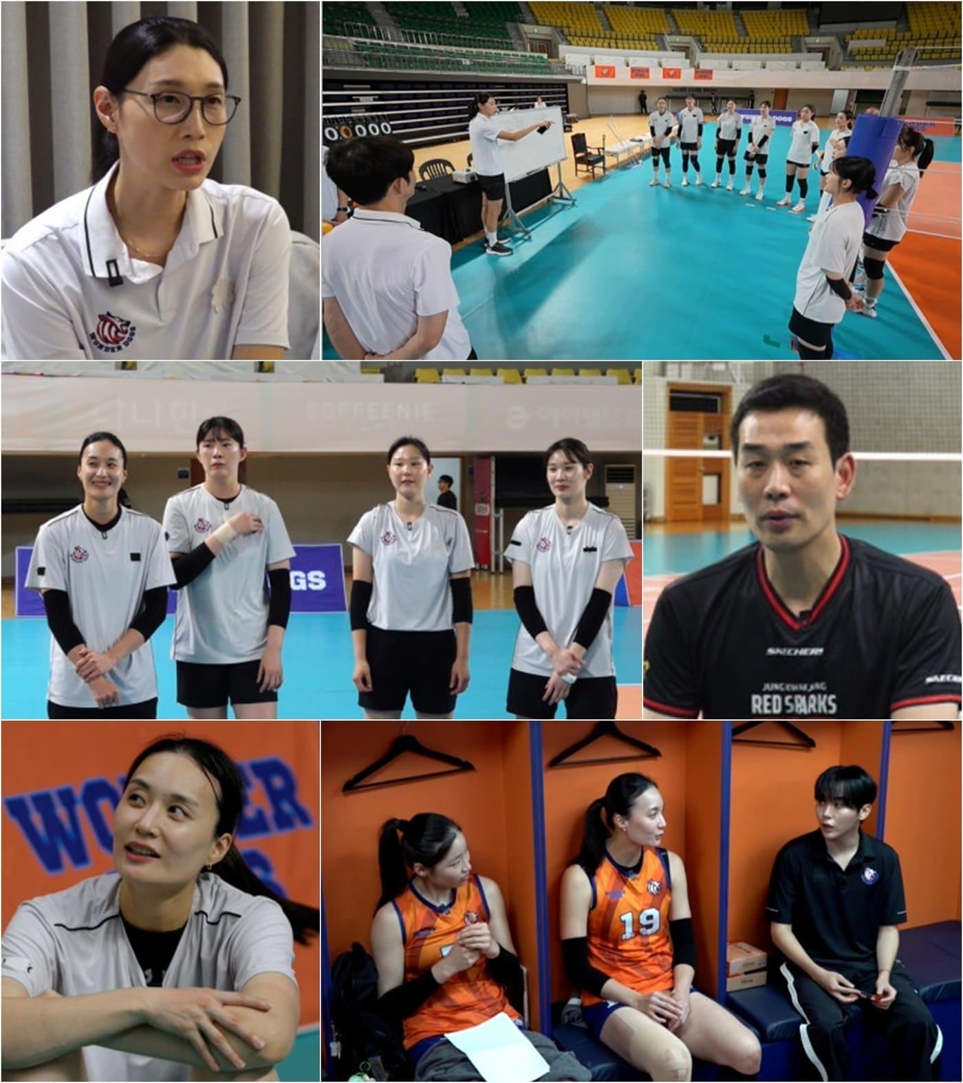 본문 이미지 - MBC