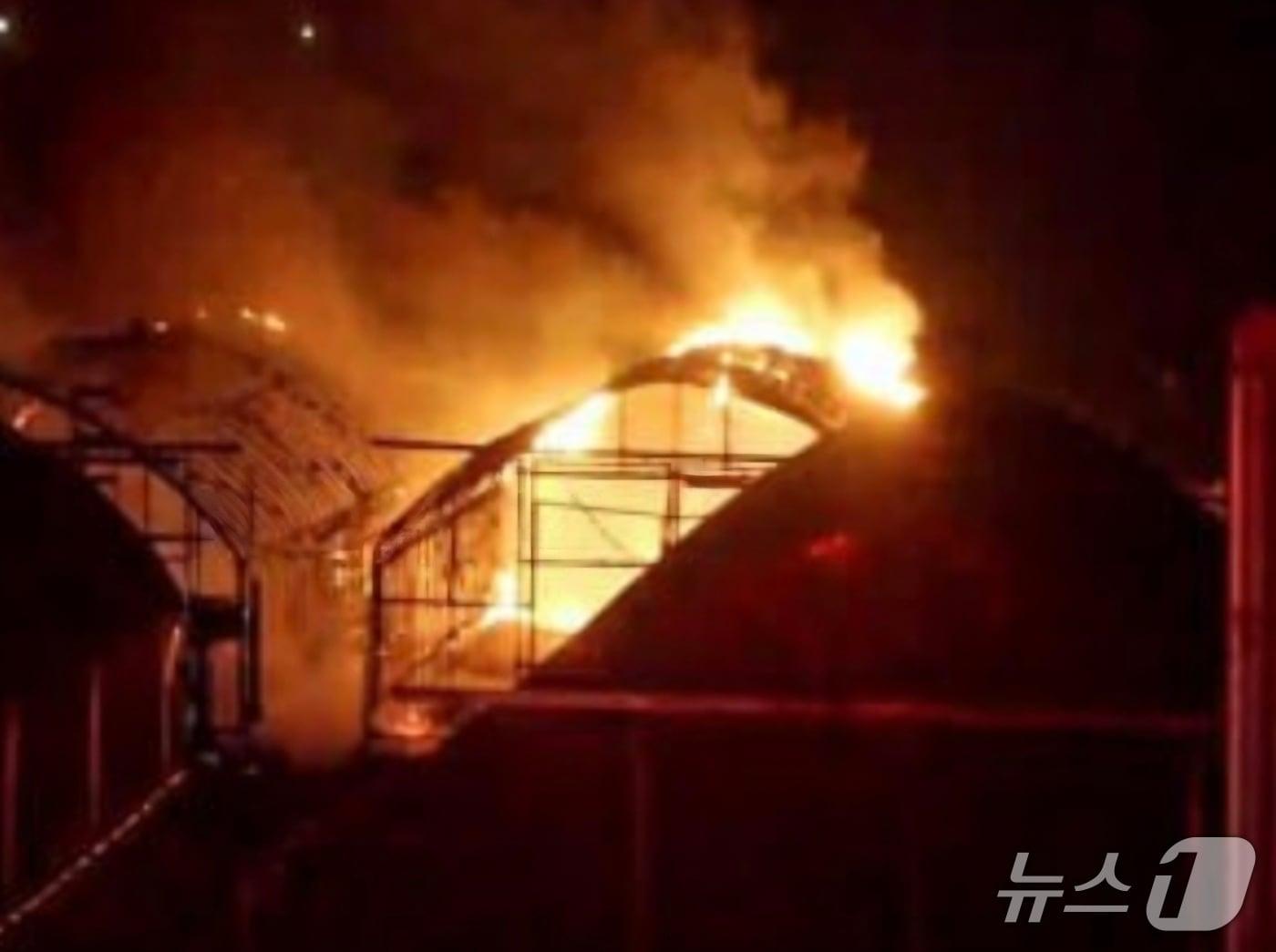 본문 이미지 - 화재 현장. &#40;경기도소방재난본부 제공. 재판매 및 DB 금지&#41; 2025.11.8/뉴스1