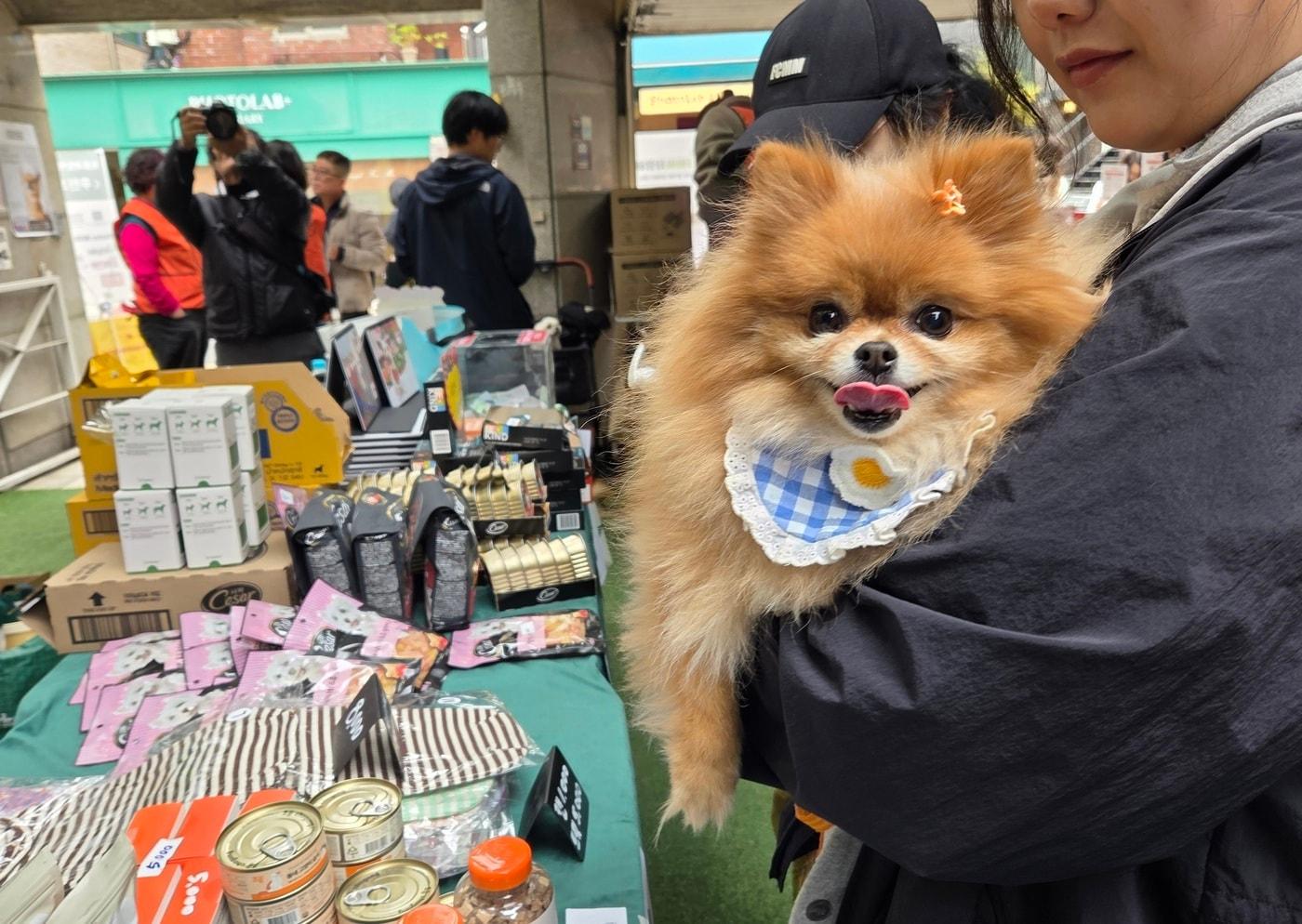 지난 8일 서울 성수동 구욱희카페에서 동물과함께행복한세상과 나비야사랑해의 합동 바자회 '꼬리마을 습격'이 열렸다. ⓒ 뉴스1 한송아 기자