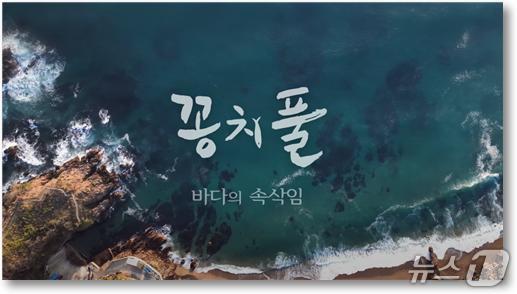 본문 이미지 - MBC강원영동 해양 다큐멘터리 &#39;꽁치풀-바다의 속삭임&#39;&#40;MBC강원영동 제공, 재판매 및 DB 금지&#41; 2025.11.9/뉴스1