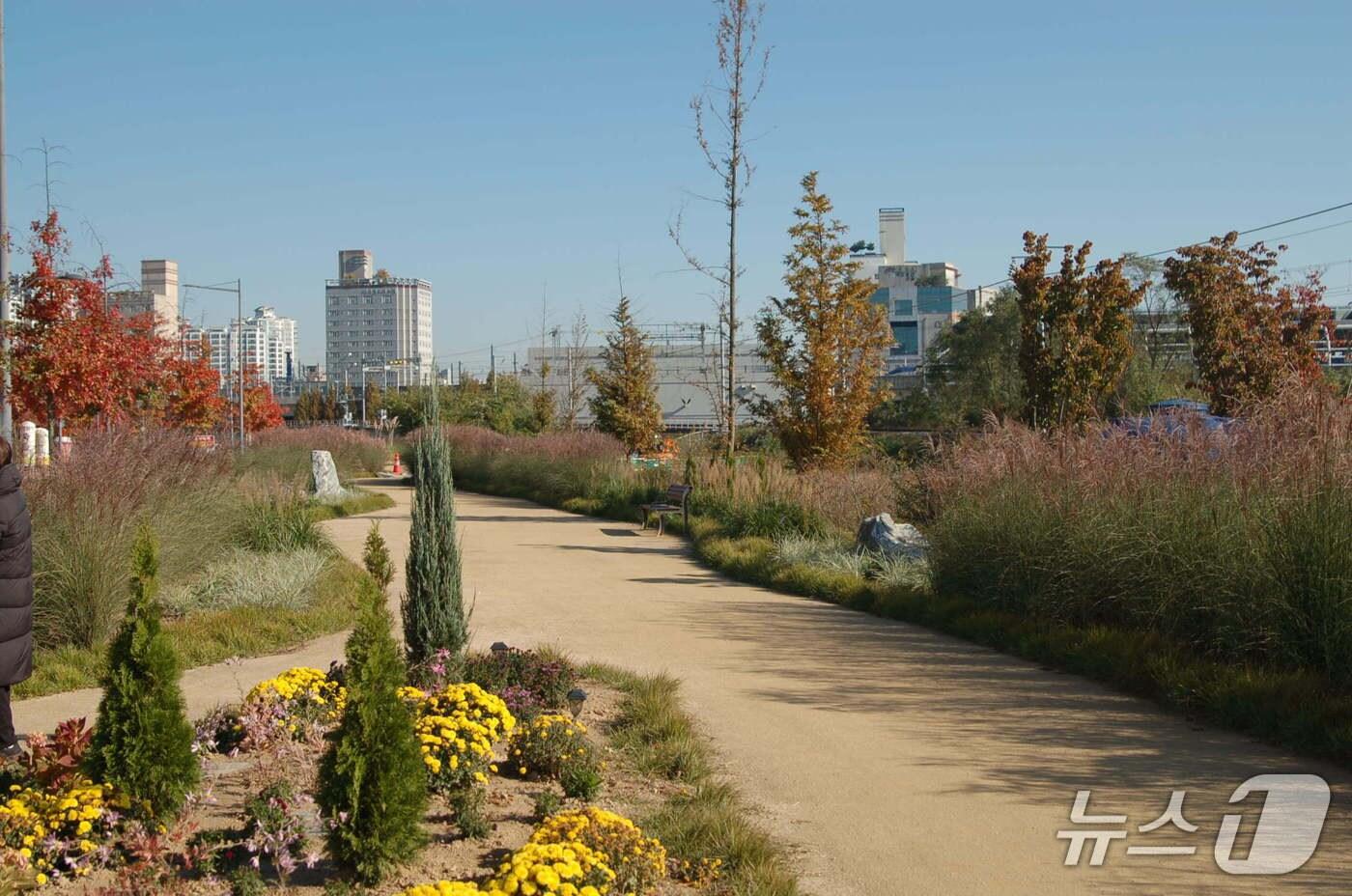 청주시 오송물결정원.&#40;시 제공&#41;/뉴스1