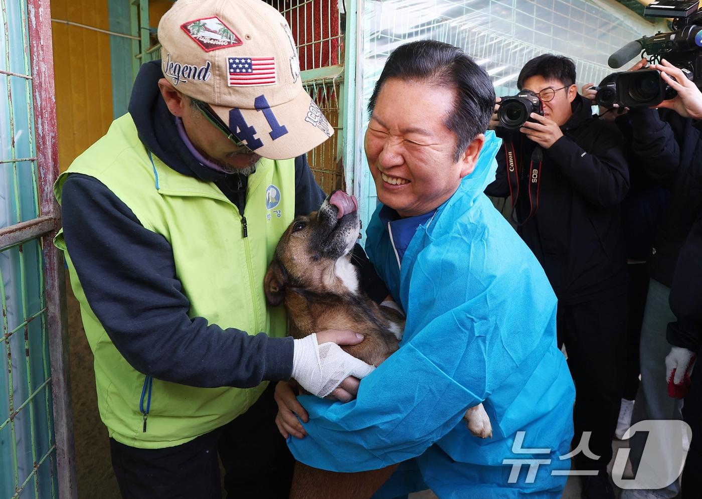 정청래 더불어민주당 대표가 9일 용인시 처인구의 한 유기견 보호소를 봉사활동차 방문해 유기견과 인사를 나누고 있다. &#40;공동취재&#41; 2025.11.9/뉴스1 ⓒ News1 김도우 기자
