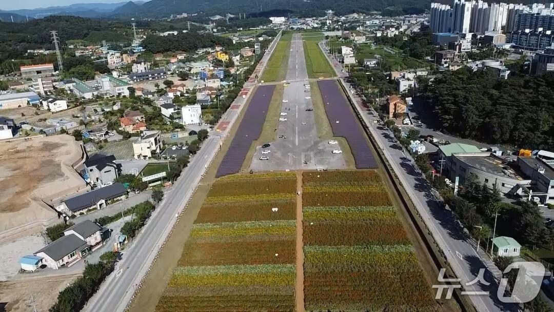 본문 이미지 - 제천 비행장.&#40;제천시 제공. 재판매 및 DB금지&#41;/뉴스1 