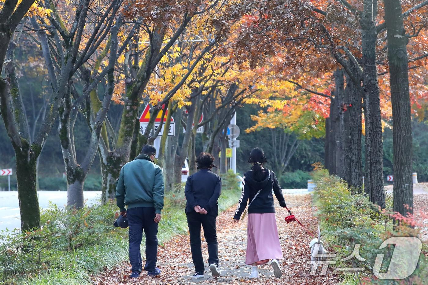 비가 그치고 맑은 날씨를 보인 9일 오후 대구 수성구 대구스타디움을 찾은 시민들이 단풍과 낙엽이 조화를 이룬 산책로를 걷고 있다. 2025.11.9/뉴스1 ⓒ News1 공정식 기자