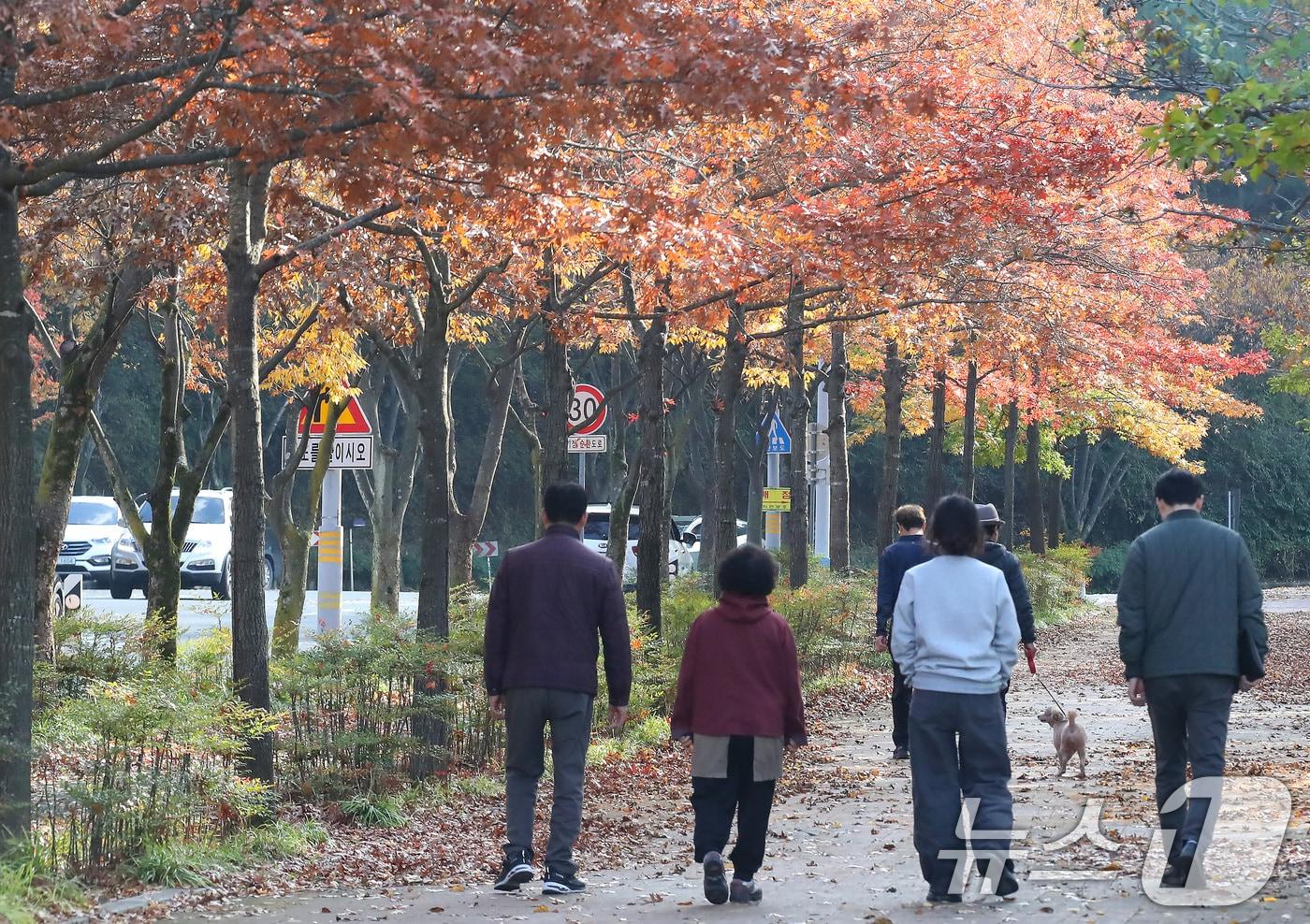 비가 그치고 맑은 날씨를 보인 9일 오후 대구 수성구 대구스타디움을 찾은 시민들이 단풍과 낙엽이 조화를 이룬 산책로를 걷고 있다. 2025.11.9/뉴스1 ⓒ News1 공정식 기자