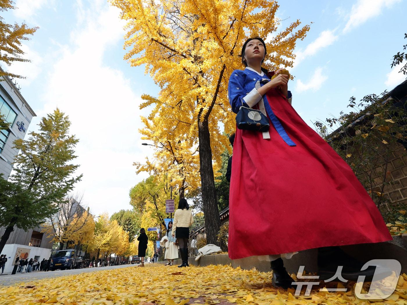 본문 이미지 - 온화한 가을 날씨를 보인 9일 오후 서울 종로구 효자로에서 외국인 관광객과 시민들이 노랗게 물든 은행나무와 함께 즐거운 시간을 보내고 있다. 2025.11.9/뉴스1 ⓒ News1 황기선 기자