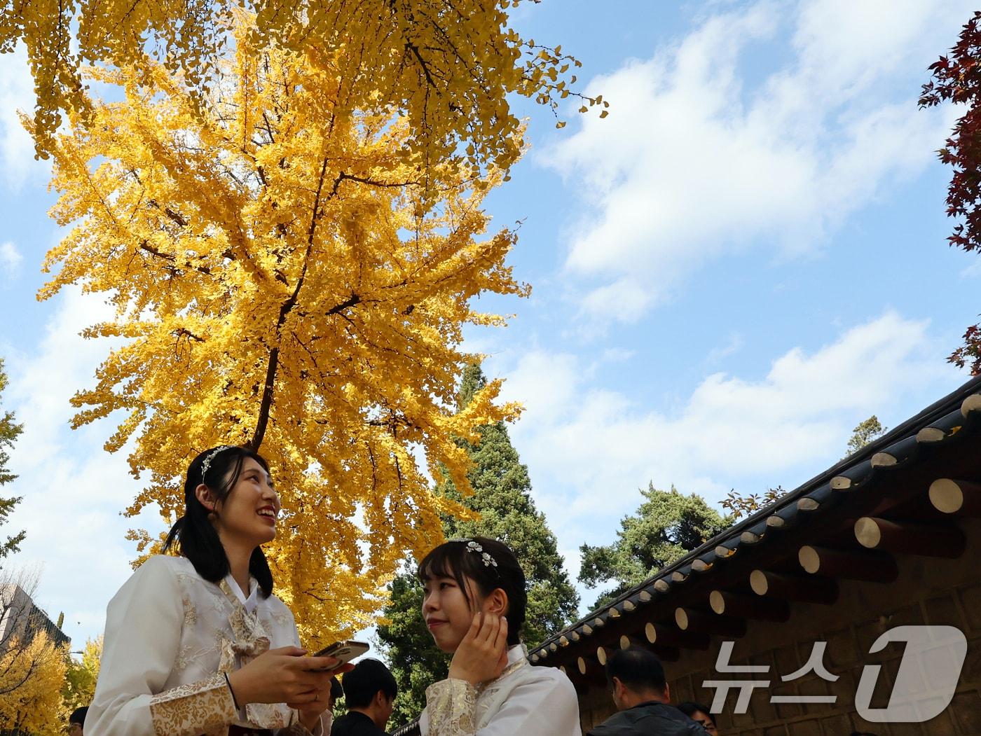 본문 이미지 - 온화한 가을 날씨를 보인 9일 오후 서울 종로구 효자로에서 외국인 관광객과 시민들이 노랗게 물든 은행나무와 함께 즐거운 시간을 보내고 있다. 2025.11.9/뉴스1 ⓒ News1 황기선 기자