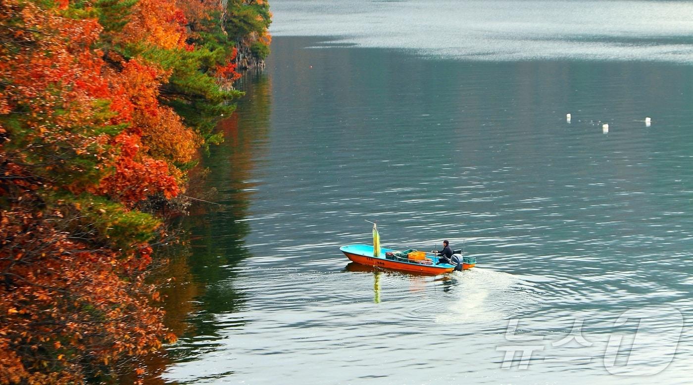 지난 9일 오전 강원 인제군 소양호 일대에서 한 어부가 늦가을 단풍 사이로 조업을 하고 있다.&#40;인제군 제공. 재판매 및 DB금지&#41; 2025.11.9/뉴스1