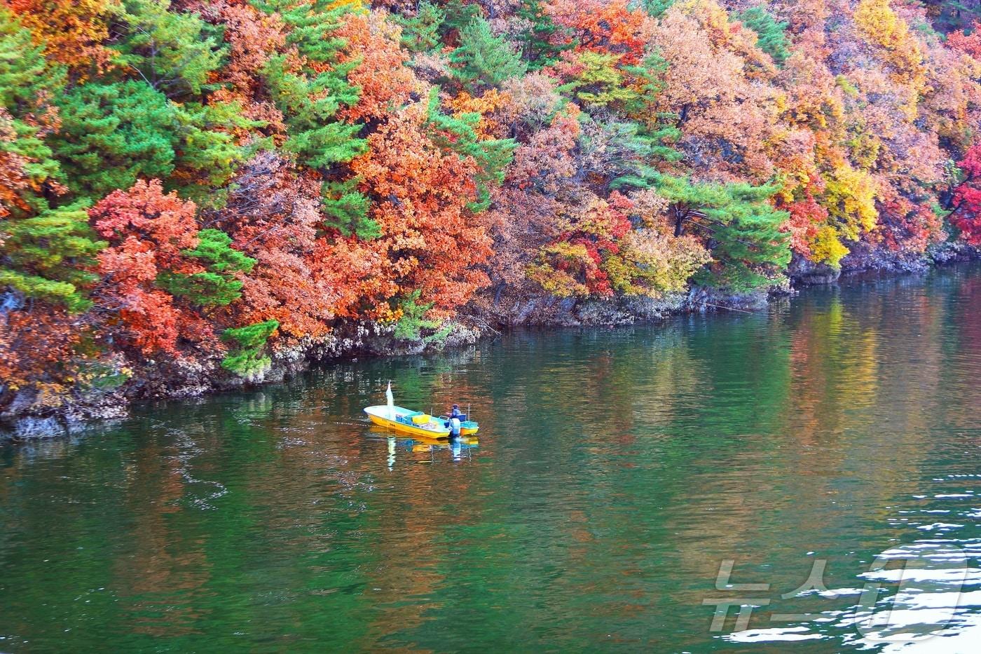 자료사진 /뉴스1 ⓒ News1