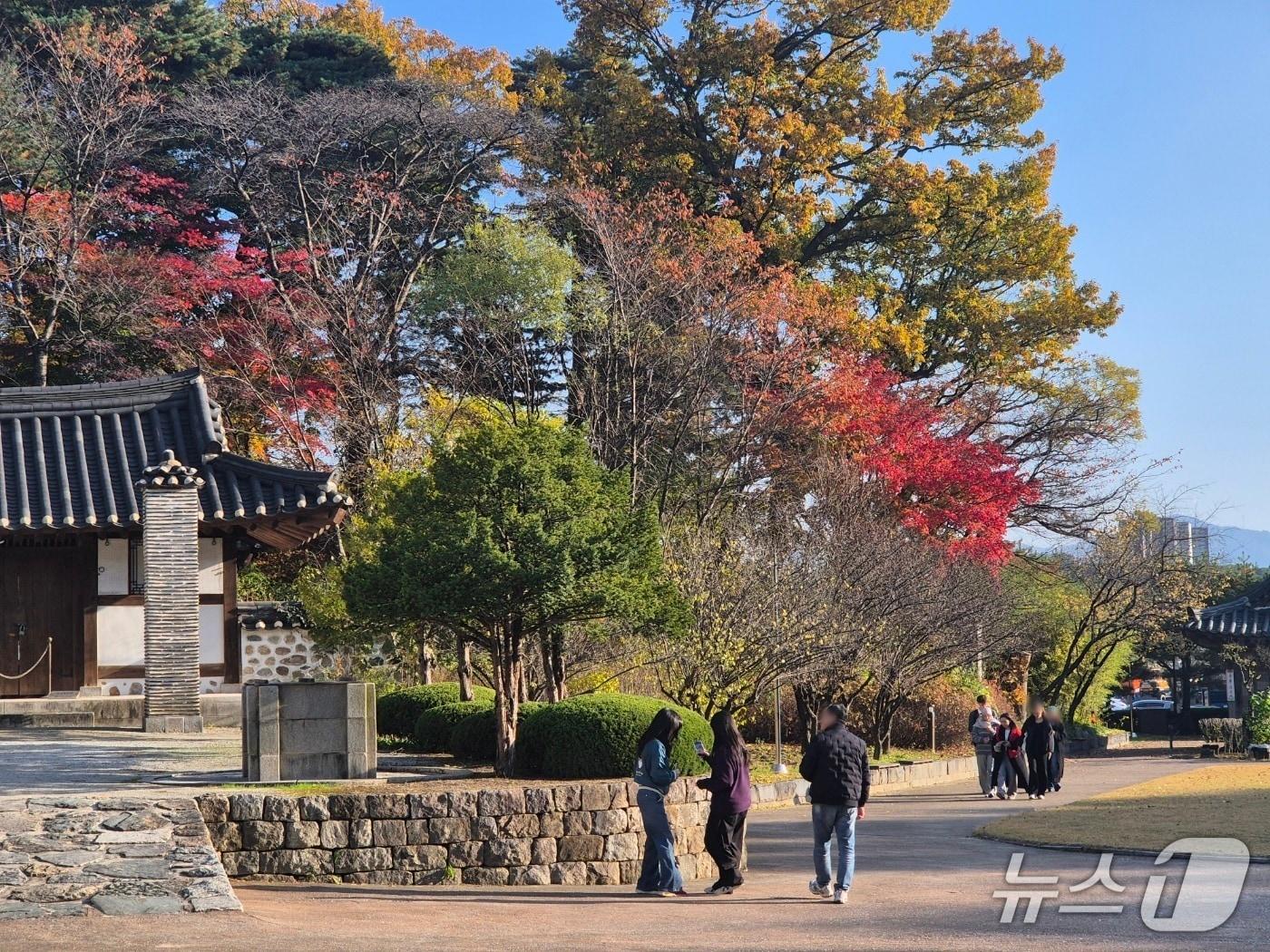 본문 이미지 - 일요일인 9일 강원 강릉시 선교장을 찾은 나들이객들이 절정의 단풍을 만끽하고 있다. 2025.11.9/뉴스1 윤왕근 기자