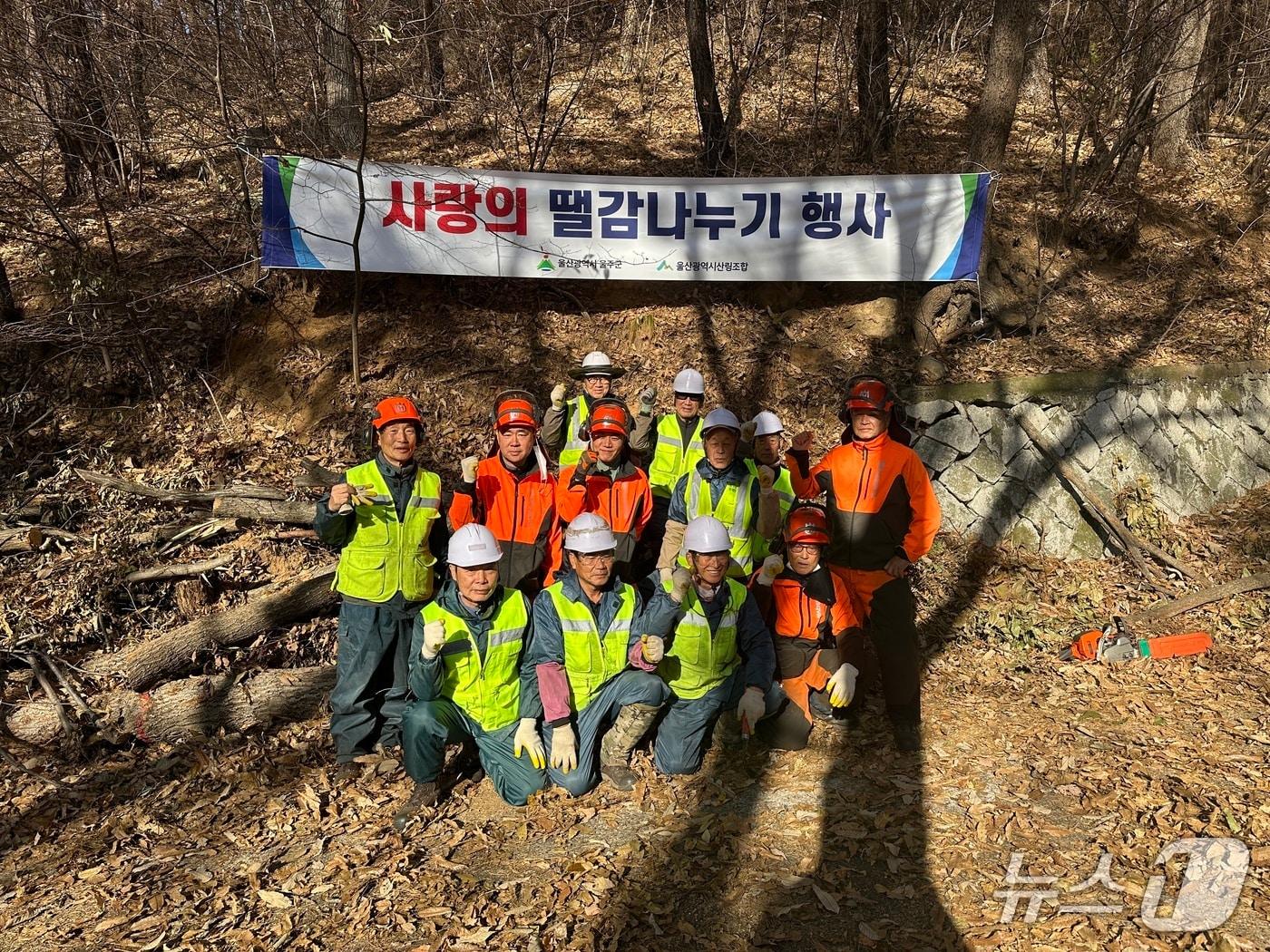 본문 이미지 - 울산 울주군이 숲가꾸기 사업 후 발생한 부산물을 활용해 사업지 주변 지역 취약계층에게 목재를 지원했다고 1일 밝혔다.&#40;울주군 제공&#41;